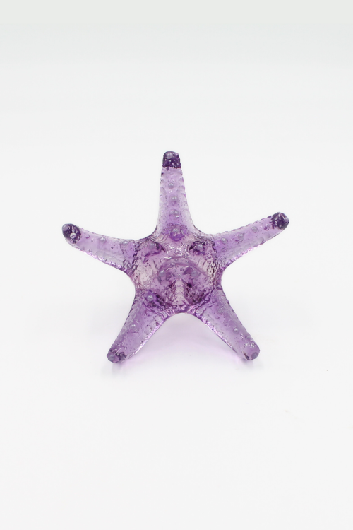 starfish_fiolet (2).png