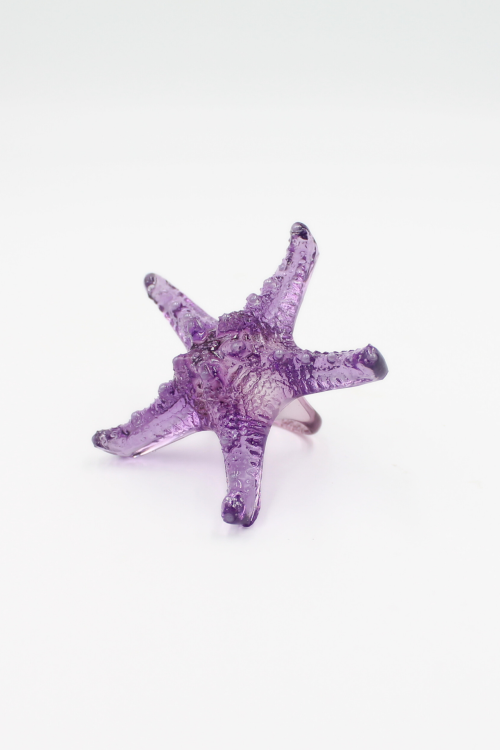 starfish_fiolet.png