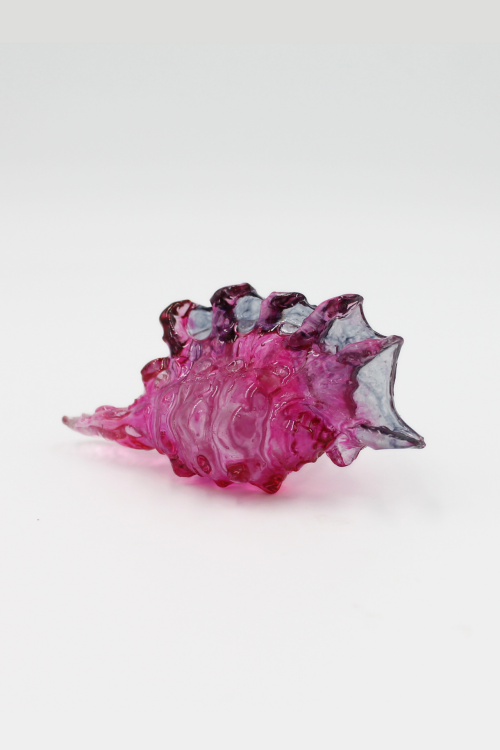 muszla_violet (3).png